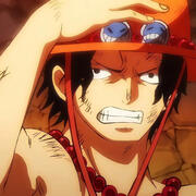 ace (one piece) ace (one piece)